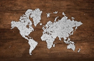 World map design made from grains of rice