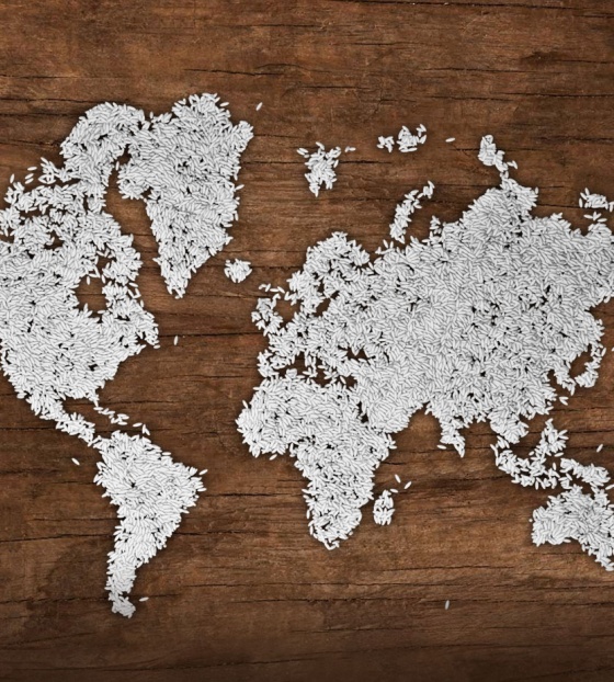 World map design made from grains of rice