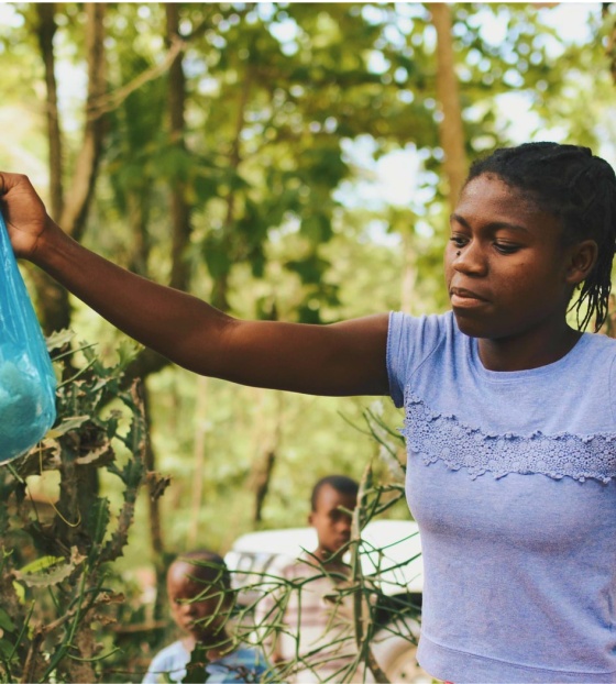 One volunteer passes a package of food to another.