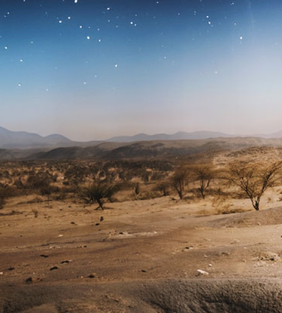 Grains of Hope - Website - Hero 