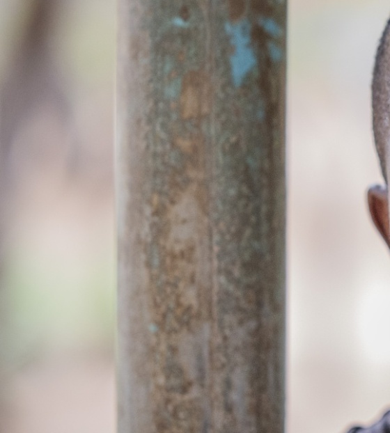 Educating the next generation of children in Zambia