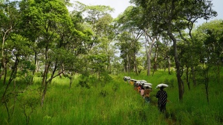 crowd-walking-through-forest
