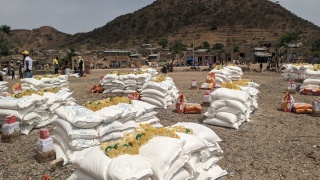 Image of food and supplies being organised.